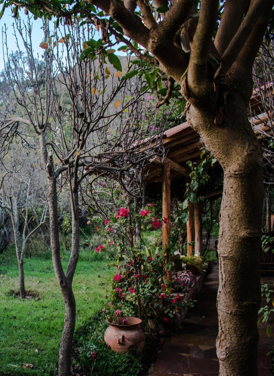 Eco Lodge Los Perales-Urubamba Kültér fotó